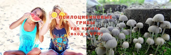 герыч Алексин