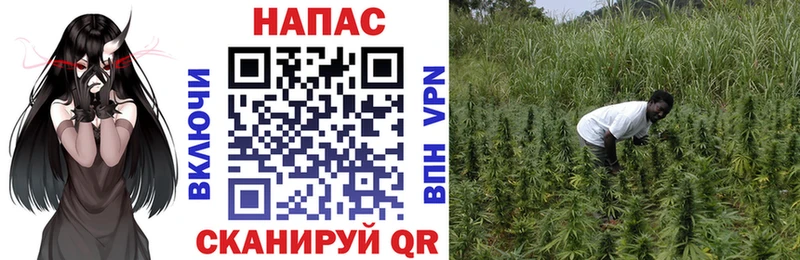 МАРИХУАНА ГИДРОПОН купить наркоту Тюкалинск